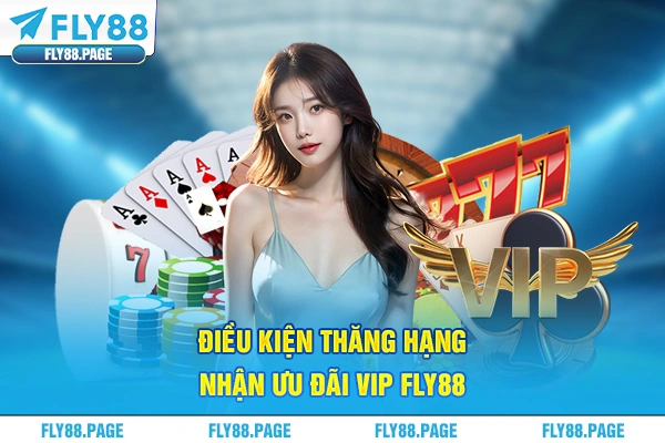 Điều kiện thăng hạng nhận ưu đãi VIP Fly88