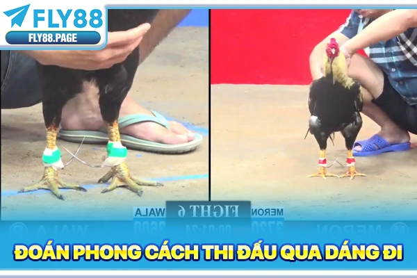 Đoán phong cách thi đấu qua dáng đi Đoán phong cách thi đấu qua dáng đi