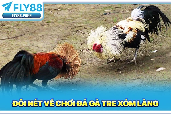 Đôi nét về chơi đá gà tre xóm làng