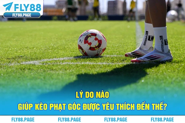Lý do nào giúp kèo phạt góc được yêu thích đến thế? Lý do nào giúp kèo phạt góc được yêu thích đến thế?