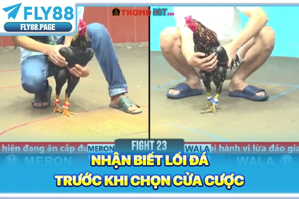 Nhận biết lối đá trước khi chọn cửa cược Nhận biết lối đá trước khi chọn cửa cược