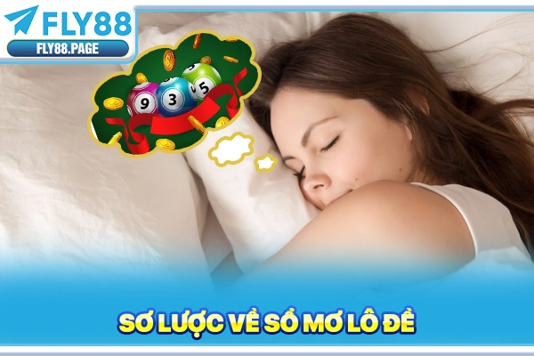 Sơ lược về sổ mơ lô đề