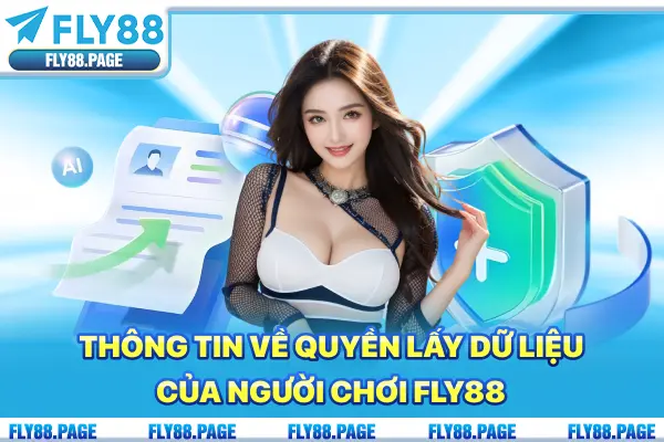 Thông tin về quyền lấy dữ liệu của người chơi Fly88