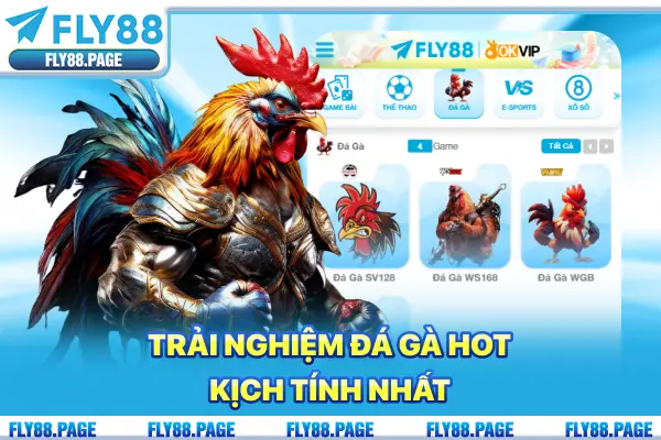 Trải nghiệm đá gà hot, kịch tính nhất