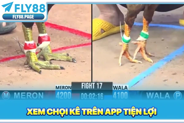 Xem chọi kê trên app tiện lợi